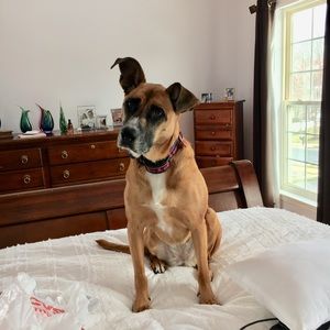 Meet your Posher, Lynn